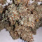 Sweet Mango Auto (GHS)