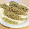 Night Queen feminized seeds for sale