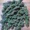 Vendita di semi di cannabis Super Lemon Haze Auto fem