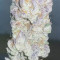 Runtz Muffin Seeds (Barney’s Farm)