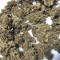 Bruce Banner Seeds (Fast Buds) - Cannabis Strain Seeds for Sale
