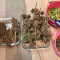 Auto Blackberry Kush Seeds