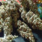 Tropicanna Poison F1 Fast Version Feminized Seeds (Sweet Seeds)