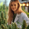 Heavy Kickers Mix Feminized Seeds (Herbies Seeds)
