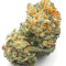 Dogstar Dawg (Big Head Seeds)
