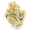 Green Crack Seeds (Blimburn Seeds) - Cannabis Strain Seeds for Sale