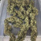 Original Auto AK Seeds - Cannabis Strain Seeds for Sale