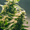 Sweet Tooth #1 Seeds - Cannabis Strain Seeds for Sale