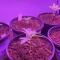 Acquista semi femminizzati Mimosa di Herbies Seeds
