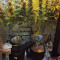 Do-Si-Dos OG Seeds - Cannabis Strain Seeds for Sale