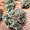 Godfather OG (Herbies Seeds)