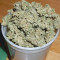 CBD Auto 1:1 (CBD Crack) feminized seeds for sale