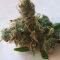 Venta de LSD Auto (Barney's Farm) | Semillas de marihuana feminizadas