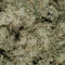 Three Blue Kings Seeds - Cannabis Strain Seeds for Sale