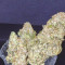 O.G. Kush Seeds (Seedstockers) - Cannabis Strain Seeds for Sale