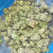 Sour Diesel Autoflower (Seedkeepers)