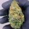 Ghost Train Power Feminized Seeds (Original Sensible Seeds)