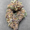 Red Hot Cookies Feminized Seeds (Sweet Seeds)