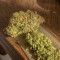 Auto Gorilla Blue Seeds - Cannabis Strain Seeds for Sale