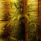 Critical Kush Seeds (Barney's Farm)