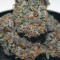 Purple Punch Seeds (Barney's Farm) - Cannabis Strain Seeds for Sale