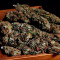 Moby Dick Seeds - Cannabis Strain Seeds for Sale