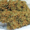 Graines de cannabis Panama D.C. (CannaBioGen)