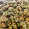 AK 47 Fast Version Feminized Seeds (EGS)
