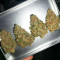 Diesel Berry Auto (Auto Seeds)