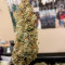 Tangerine Dream (Barney's Farm) Cannabis-Samen zu verkaufen