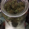 LSD Seeds - Cannabis Strain Seeds for Sale