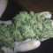 + Speed Auto feminized seeds for sale
