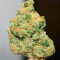 Semillas Feminizadas Sour Diesel x OG Kush (Seedkeepers)