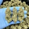 Kyle’s Cherry AK 47 Seeds