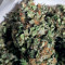 Lemon AK Auto (Fast Buds)