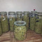 Buy Desfrán feminized seeds by Dutch Passion