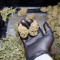 Runtz Auto (Barney's Farm) Seeds