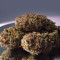 Grandaddy Purple Seeds - Cannabis Strain Seeds for Sale