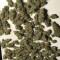 GG#4 Original Glue Seeds (Original Sensible Seeds) - Cannabis Strain Seeds for Sale
