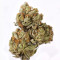 Semi femminizzati Tangie