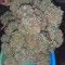 Buy Auto Banana Blaze feminized seeds by Dutch Passion