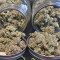 Bakers Delight จาก DNA Genetics
