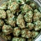 Kyle’s Cherry AK 47 Seeds