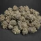RS11 x Banana OG Seeds (Barney's Farm)
