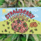 Graines féminisées de Strawberry Amnesia (Herbies Seeds)