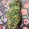 Tropicanna Banana strain