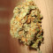 Silver Bubble (Reserva Privada)