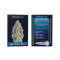 Auto Gorilla Blue Seeds