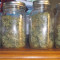 Malawi Seeds - Cannabis Strain Seeds for Sale