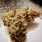 Buy Pineapple Chunk feminized seeds by Barney's Farm